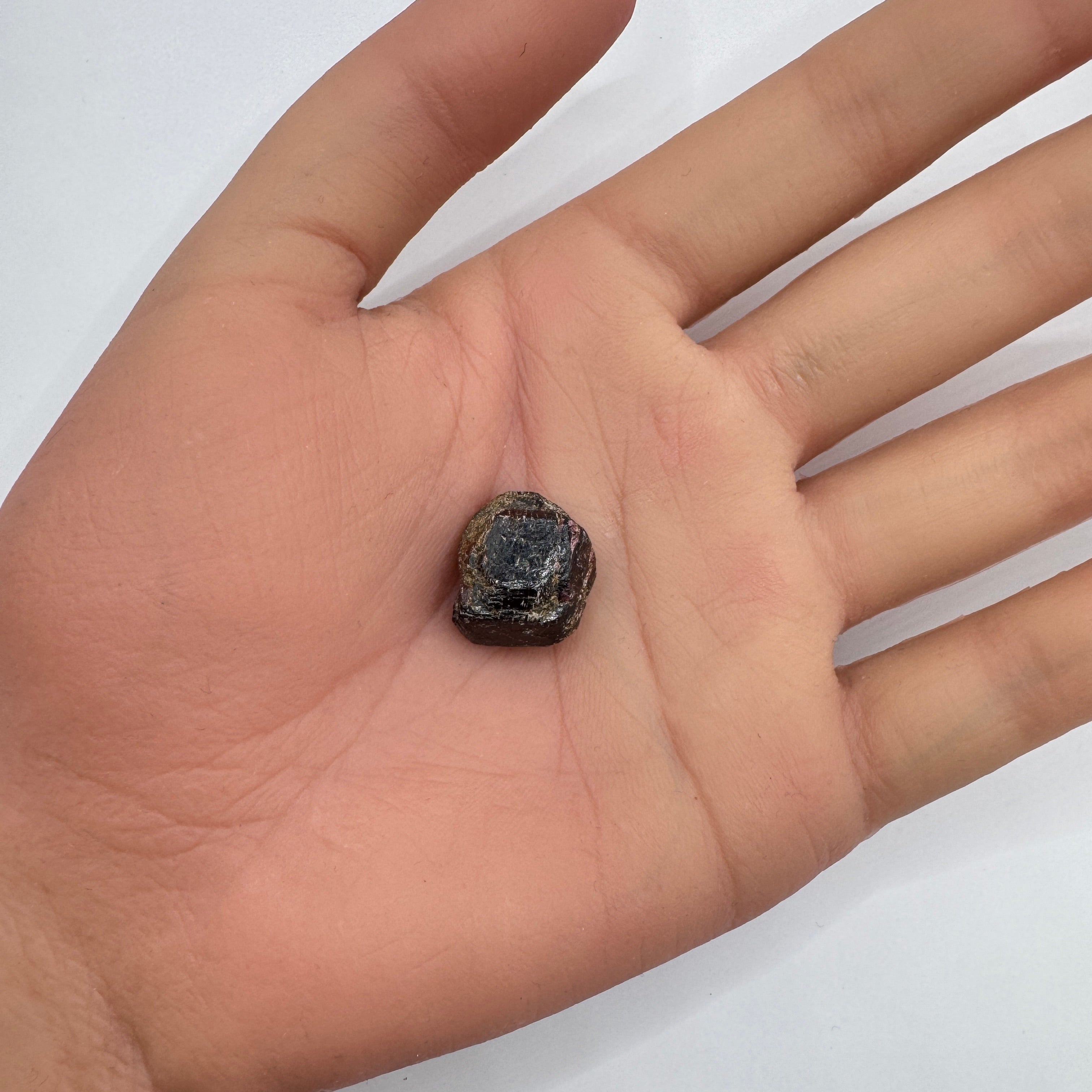 Raw Garnet Stone 30.85 Carats Weight 16.3x11.5mm in Size